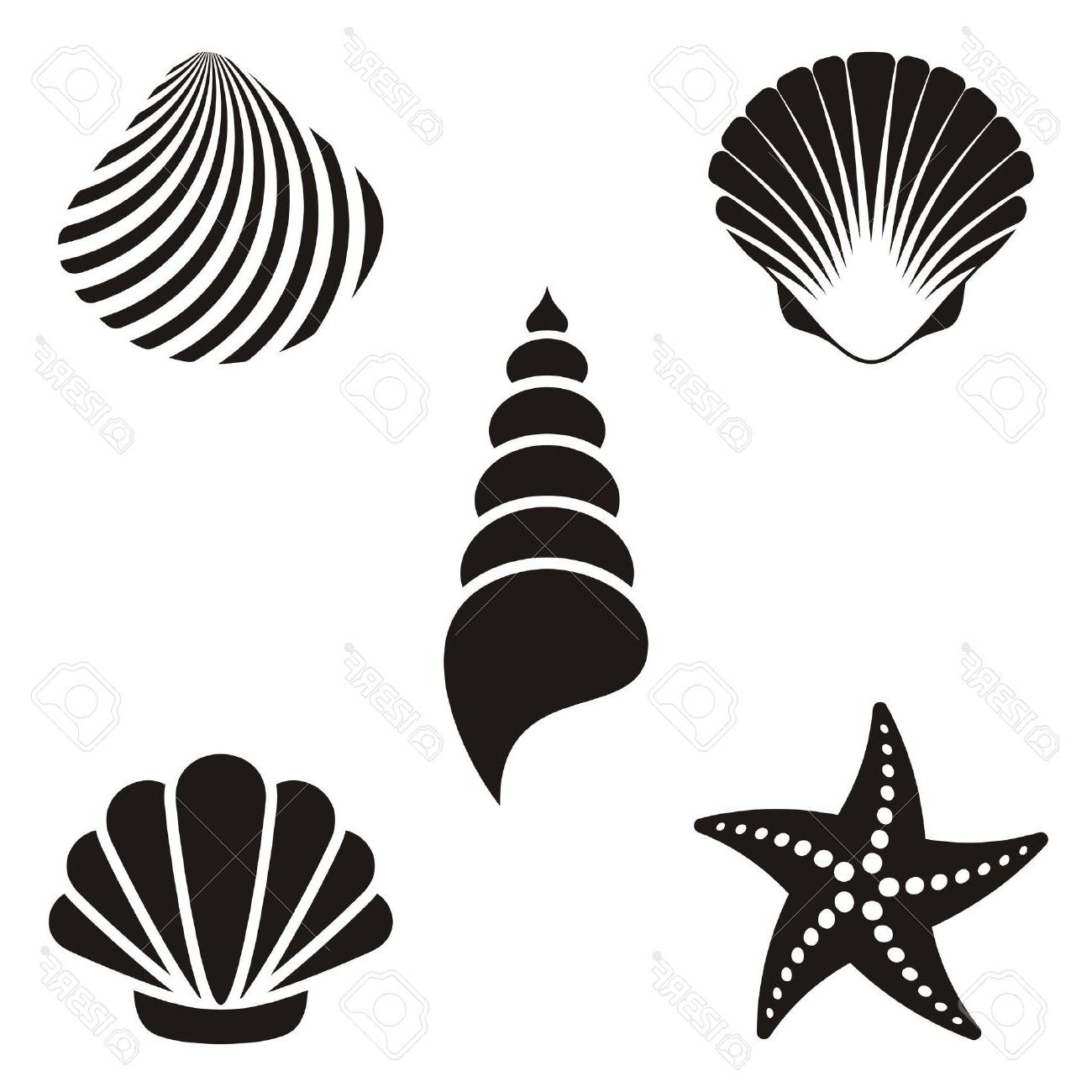 Download Seashell Silhouette Vector at Vectorified.com | Collection ...