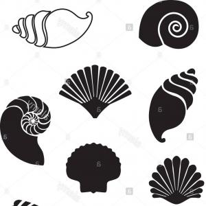 Seashell Silhouette Vector at Vectorified.com | Collection of Seashell ...