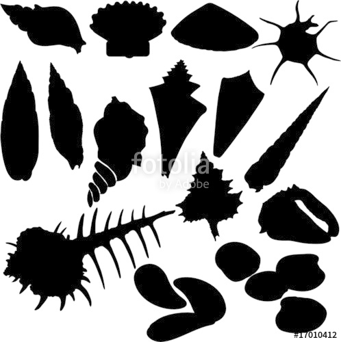 498x500 Sea Shells Vector Silhouettes Stock Image And Royalty Free Vector