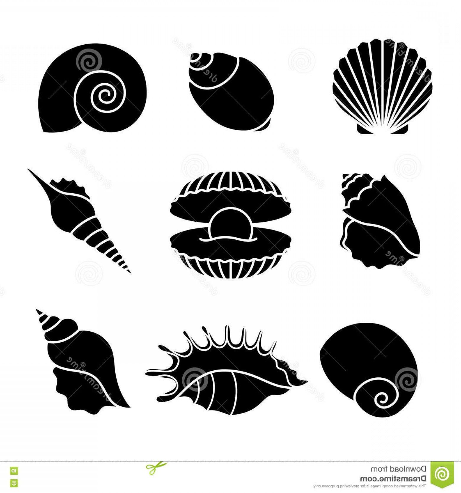 Seashell Silhouette Vector at Vectorified.com | Collection of Seashell ...