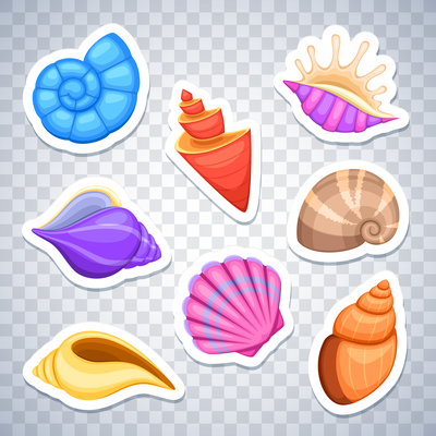 400x400 Page Seashell On Curated Vector Illustrations, Stock Royalty