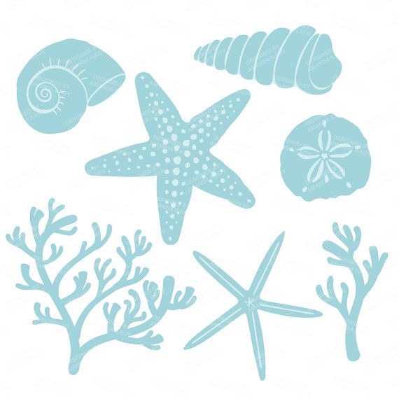 570x570 Premium Vector Seashells Clipart In Blue Mint Blue Aquatic