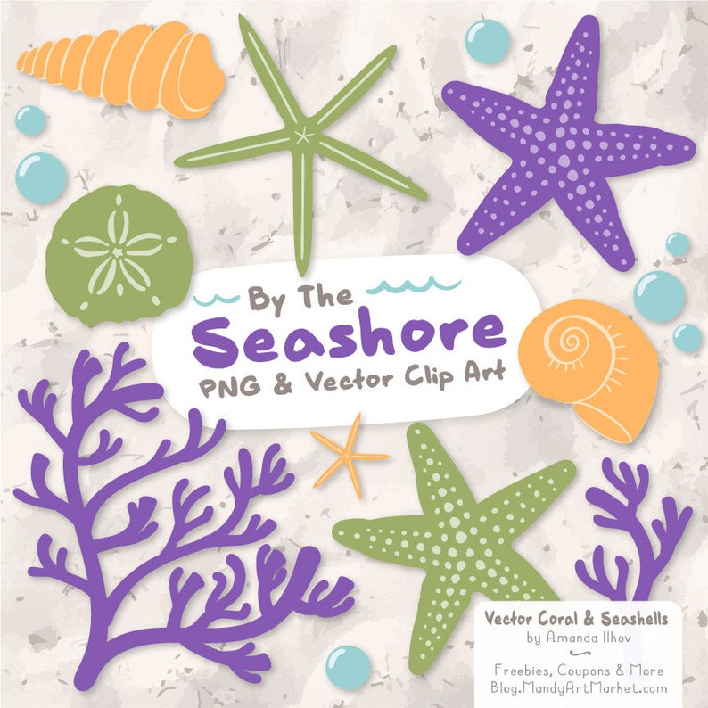 794x794 Premium Vector Seashells Clipart In Crocus Purple Seashells Etsy