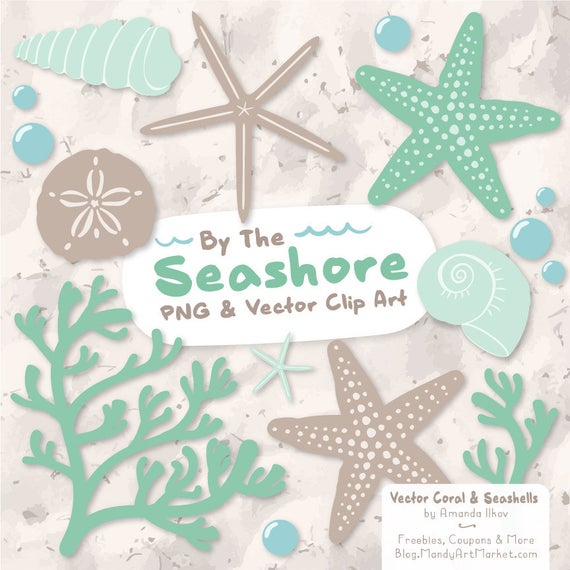 570x570 Premium Vector Seashells Clipart In Mint Mint Seashells Etsy