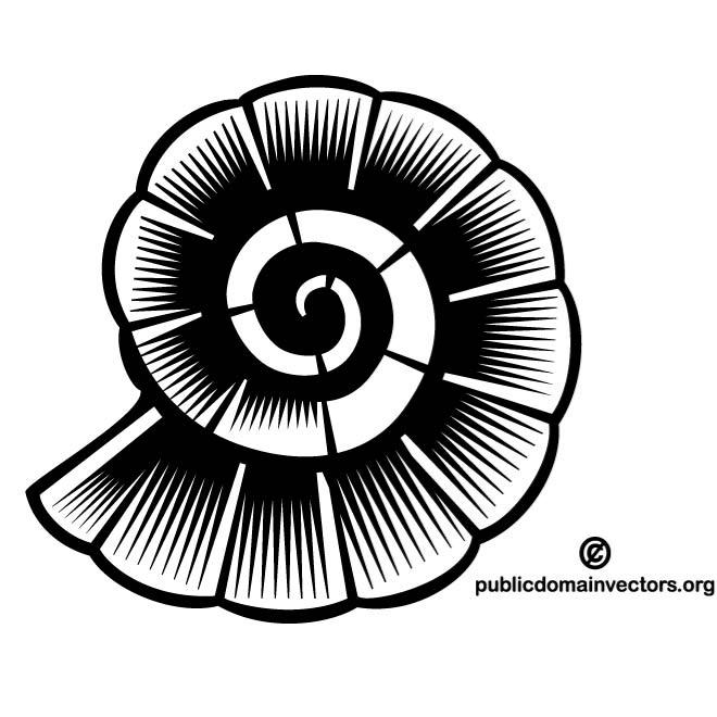 660x660 Seashell Vector Clip Art