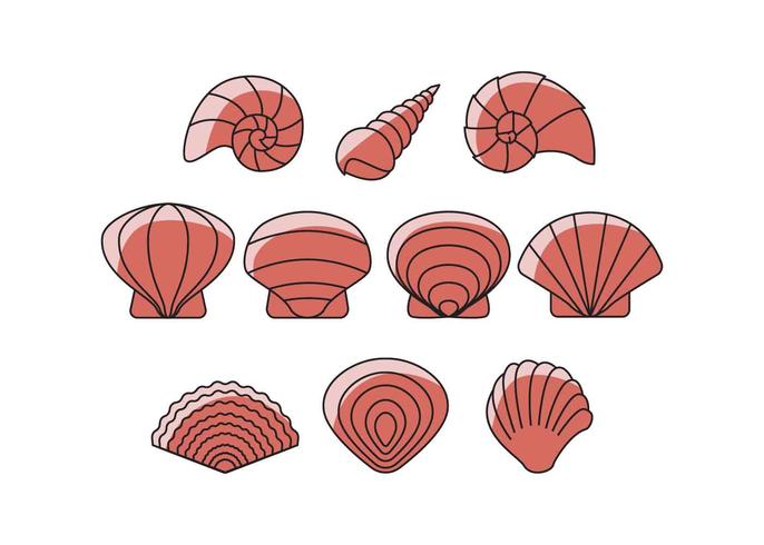 686x490 Sea Shell Free Vector Art