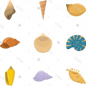 300x300 Seashell Icons Set Cartoon Set Of Seashell Vector Icons For Web