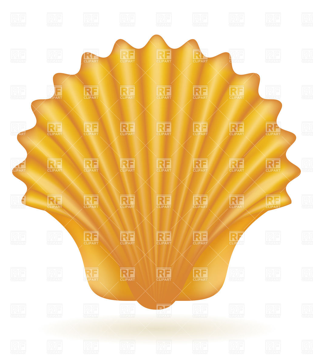 1032x1200 Seashell Vector Image Of Objects Konturvid