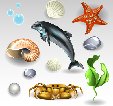 391x368 Seashells Vector Free Vector Download
