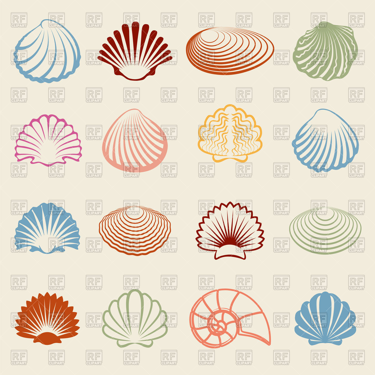 Seashell Vector at Vectorified.com | Collection of Seashell Vector free ...