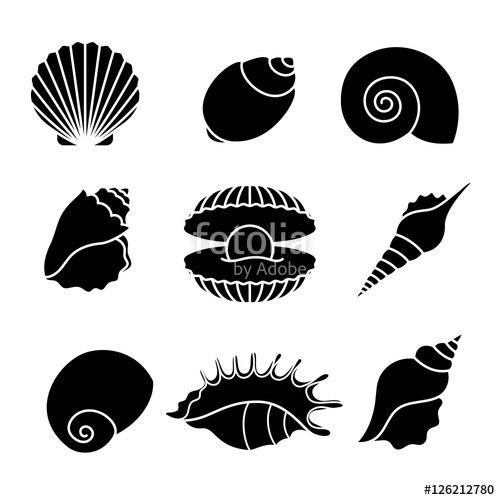 500x500 Vector Sea Shells And Pearl Seashell Silhouettes Isolated On White