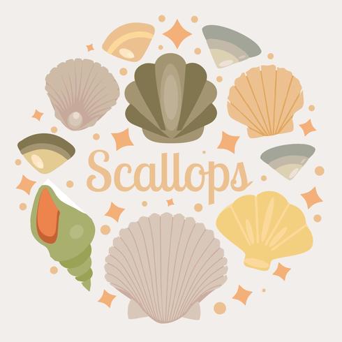 490x490 Free Scallops Seashell Vector
