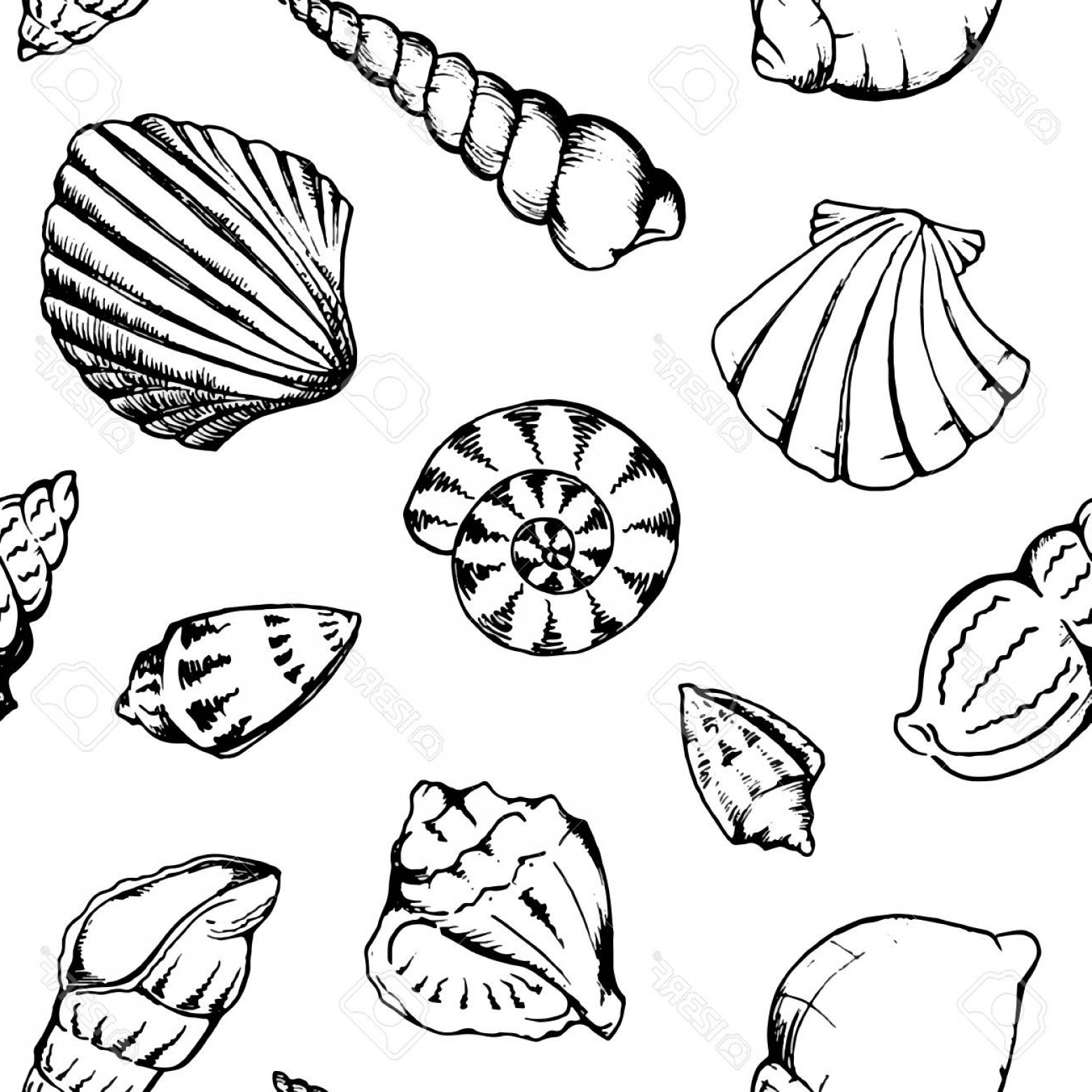 1560x1560 Photostock Vector Monochrome Sea Shells Vector Seamless Pattern