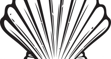 367x195 Seashell Clip Art Vector Archives