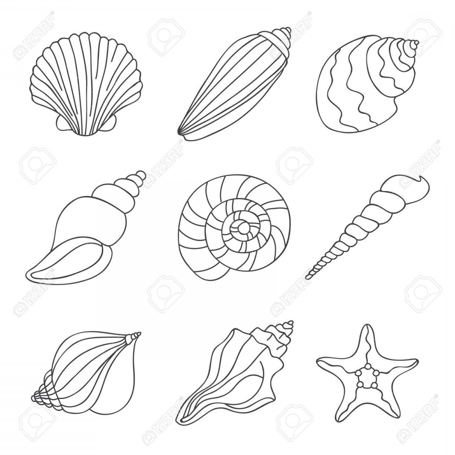 1560x1560 Best Free Seashells Vector Icons On White Background Hand Drawn