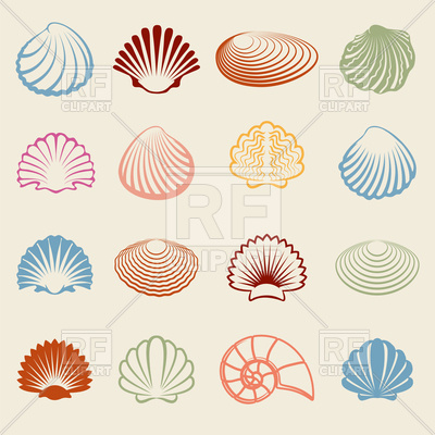 400x400 Set Of Colorful Seashells Vector Image Of Signs, Symbols, Maps