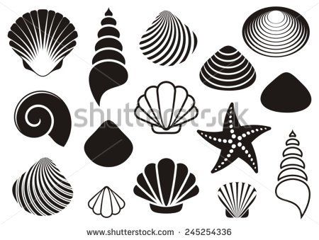 450x339 Set Of Different Black Sea Shells And Starfish Tour Information