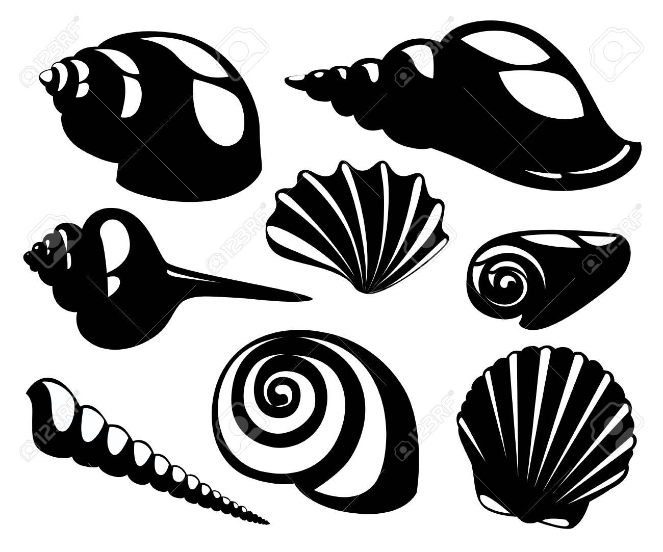 1300x1083 Stock Vector Nautical Silhouette, Sea Shells, Shells