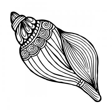 360x360 Free Download Delicious White Seashells Png Images, White