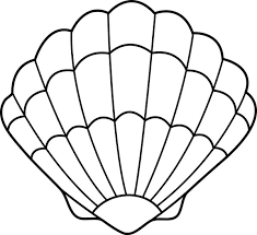 235x215 Image Result For Seashell Template Free Printable Painting