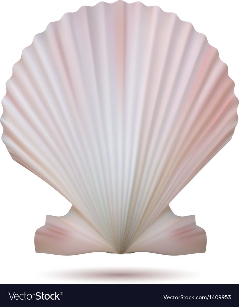 839x1080 Alfa In Sea Shells, Vector Free