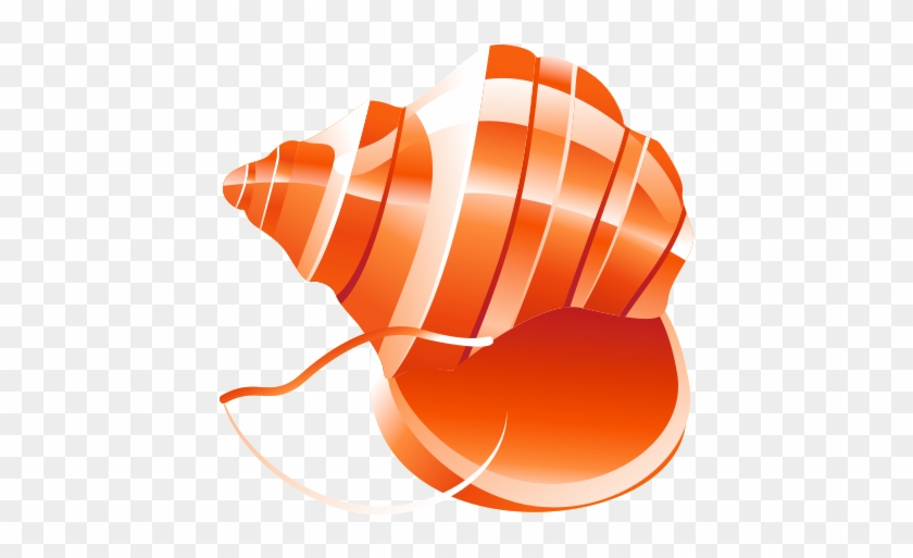 840x513 Seashell Clip Art