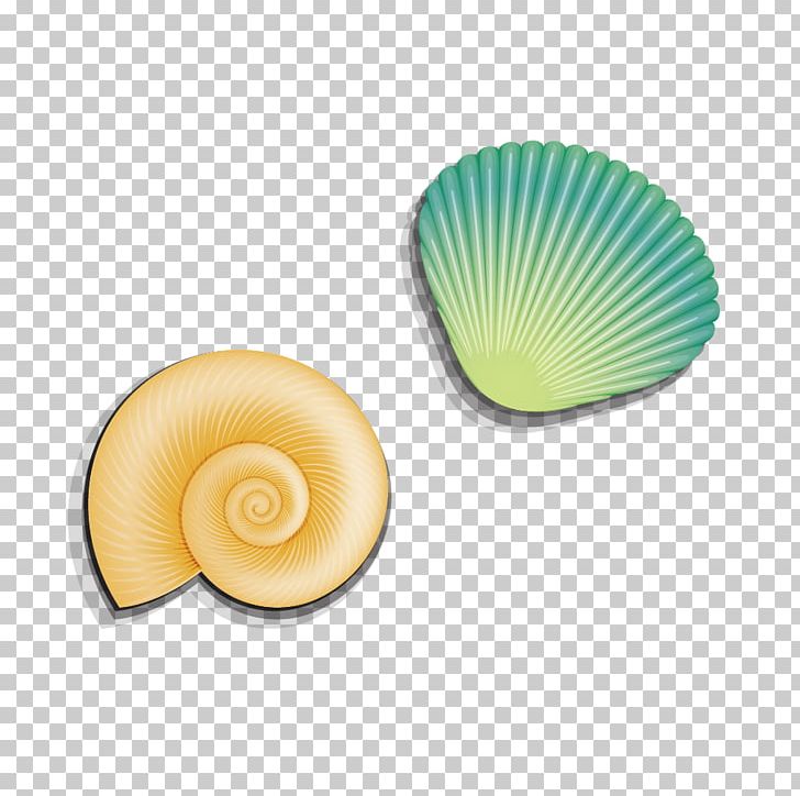 728x724 Seashell Sea Snail Png, Clipart, Adobe Illustrator, Clip Art, Conc