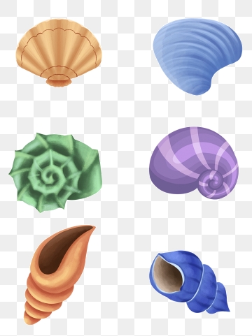 360x481 Seashell Vector Png, Vector, And Clipart With Transparent