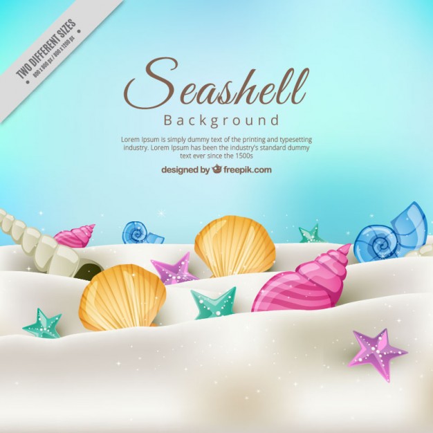 626x626 Seashell Background On The Sand Vector Free Download
