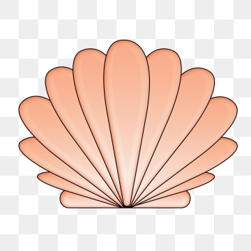 360x360 Seashell Clipart Cartoon Vector For Free Download And Use Images