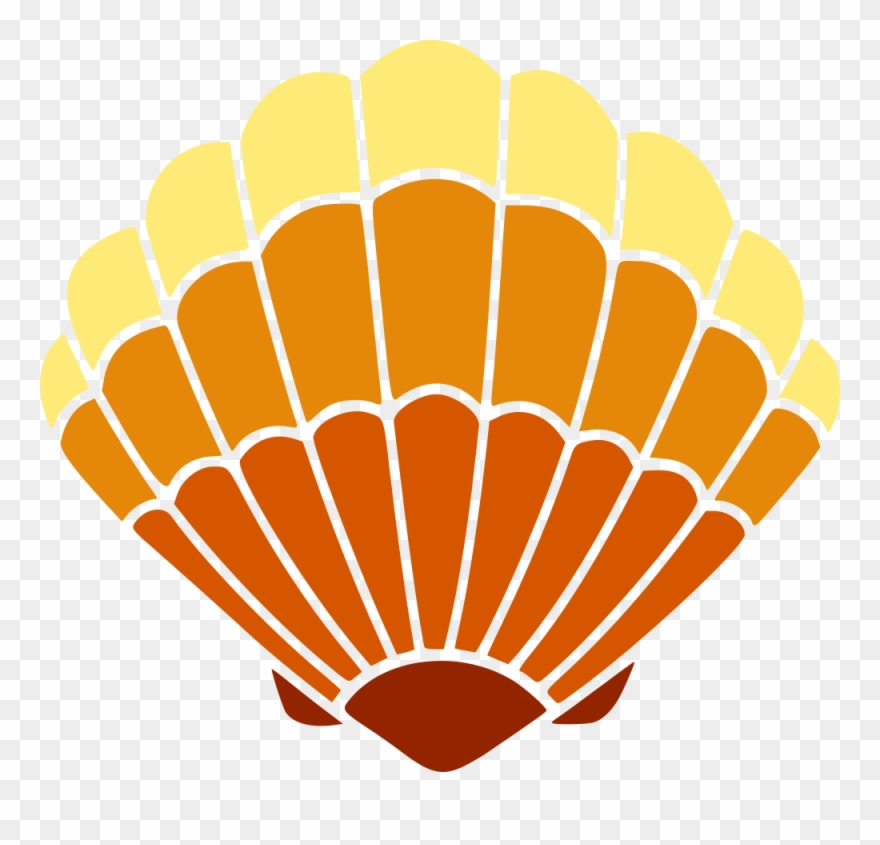 Seashell Vector Free at Vectorified.com | Collection of Seashell Vector ...