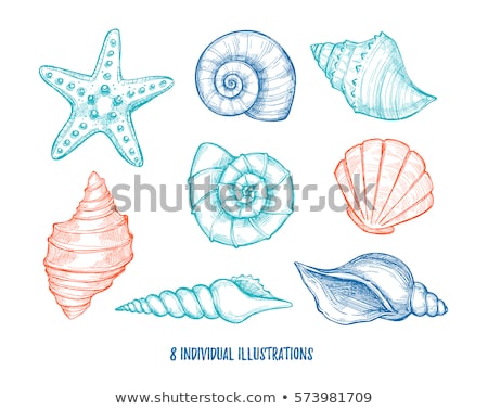 450x377 Seashell Vector Download