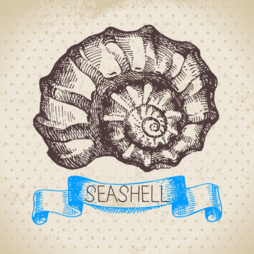 368x368 Seashells Vector Free Vector Download