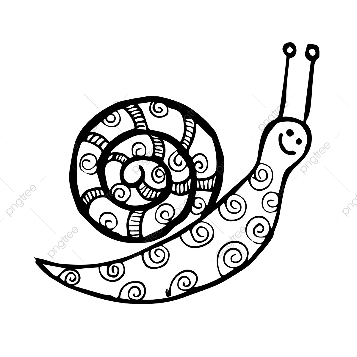 Seashell Vector Free Download