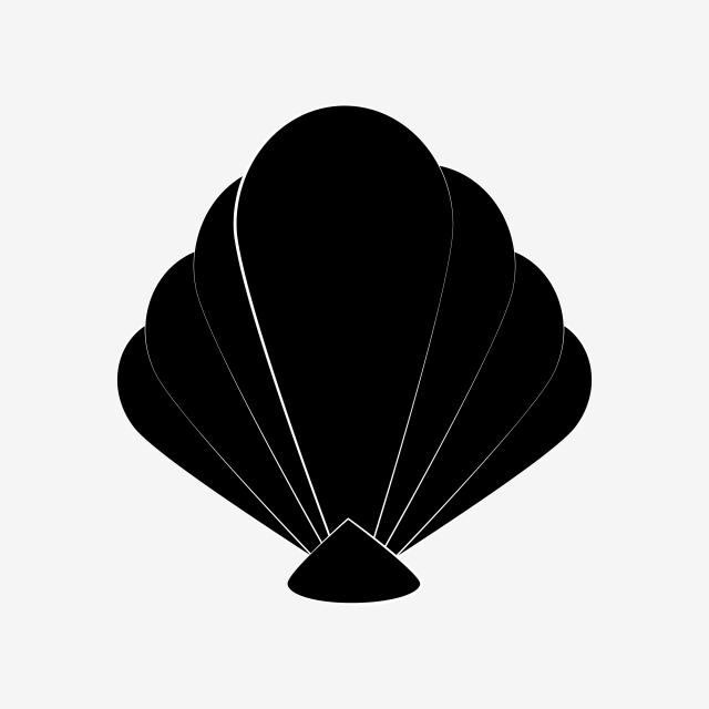 640x640 Seashell Clipart Png Vector, Sea, Seashell, Water Png And Vector