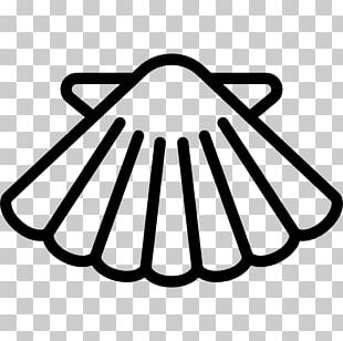 310x308 Seashell Vector Png Images, Seashell Vector Clipart Free Download