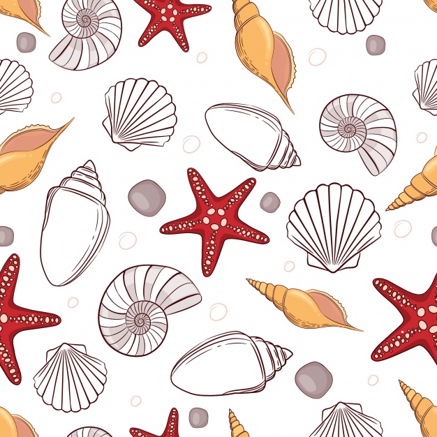 626x626 Seashell Pattern Background Vector Free Download