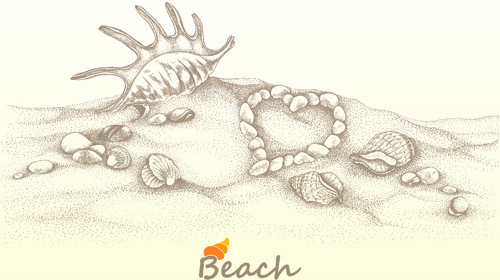 500x280 Conch Shell Vector Free Vector Download