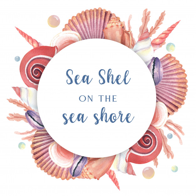 626x626 Seashell Wreath Marine Life Summertime Travel On The Beach Vector