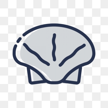 360x360 Seashells Png, Vector, And Clipart With Transparent