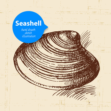 368x368 Seashells Vector Free Vector Download