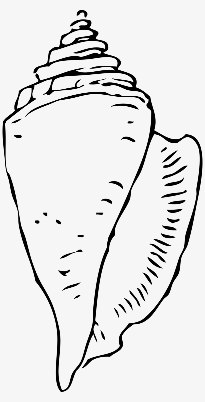 820x1610 Vector Free Vectors Download