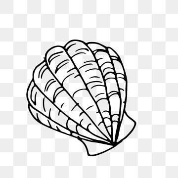 360x360 Hand Painted Seashell Png, Vector, And Clipart