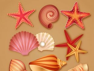 310x233 Modern Love Free Vector Free Vectors Ui Download