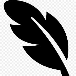 Seattle Seahawks Logo Vector Newwaysys 300x300 Seattle Seahawks Logo Vector Newwaysys