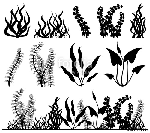 500x445 Sea Plants And Aquarium Seaweed Vector Set Stock Image