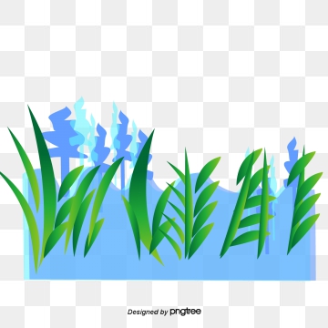 360x360 Seaweed Vector, Free Download Cartoon Seaweed, Seaweeds, Seaweed