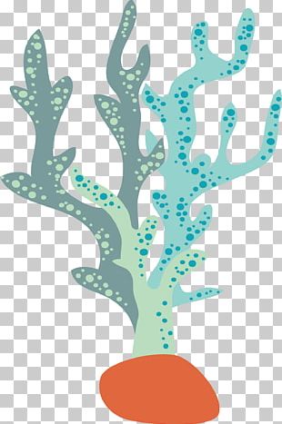 310x467 Seaweed Vector Png Images, Seaweed Vector Clipart Free Download