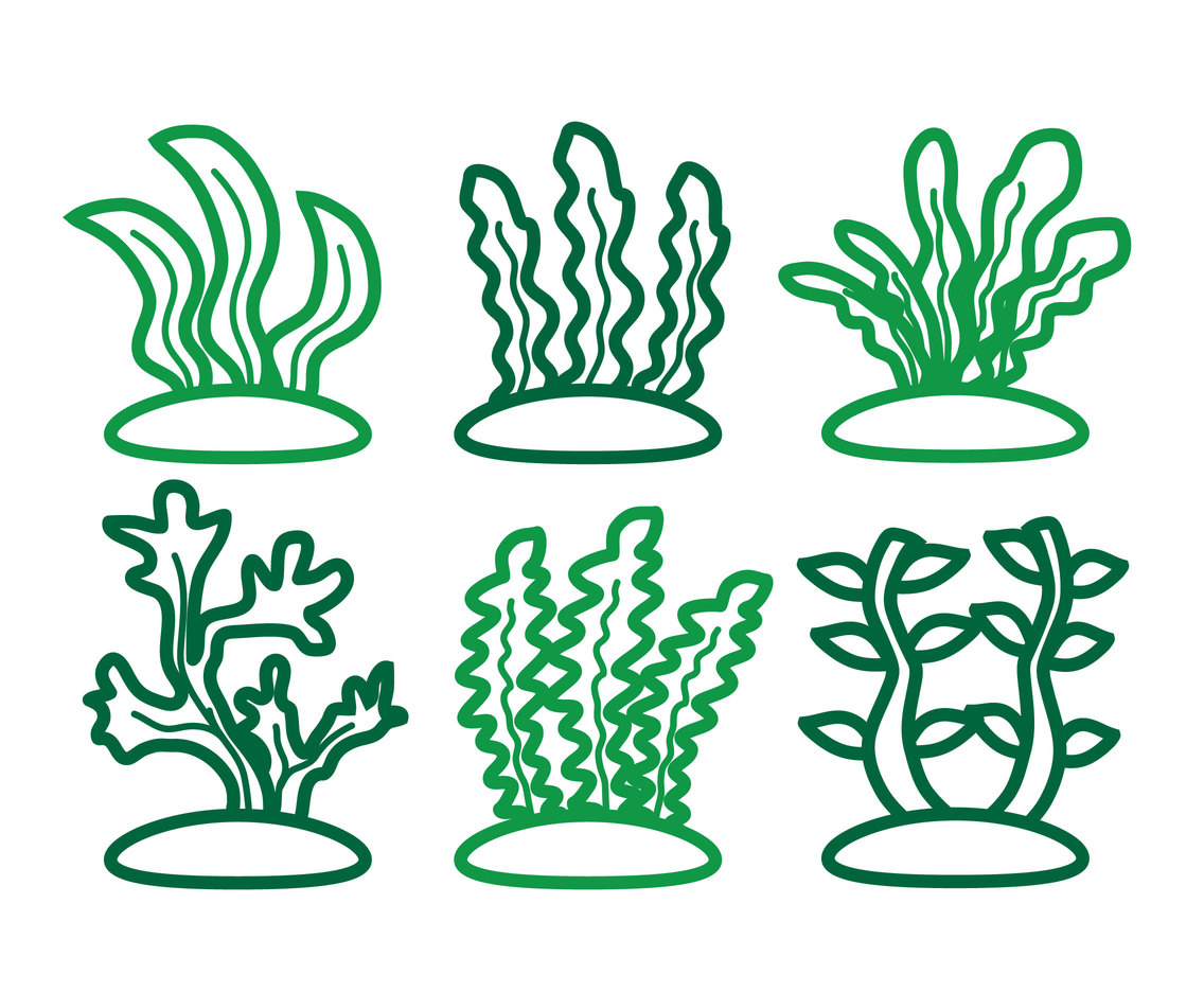1136x936 Seaweed Vector Vector Art Graphics