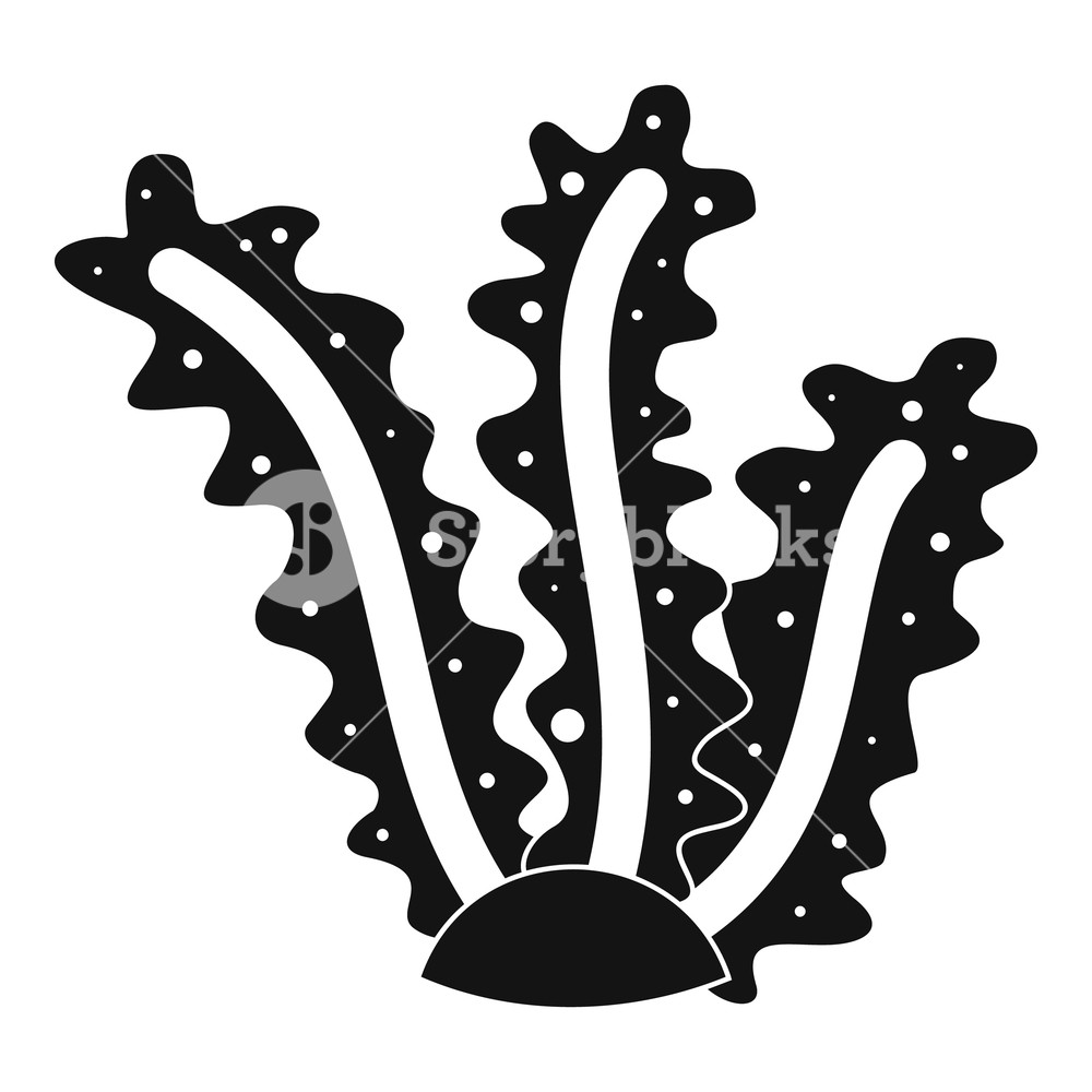 1000x1000 Seaweed Icon Simple Illustration Of Seaweed Vector Icon For Web